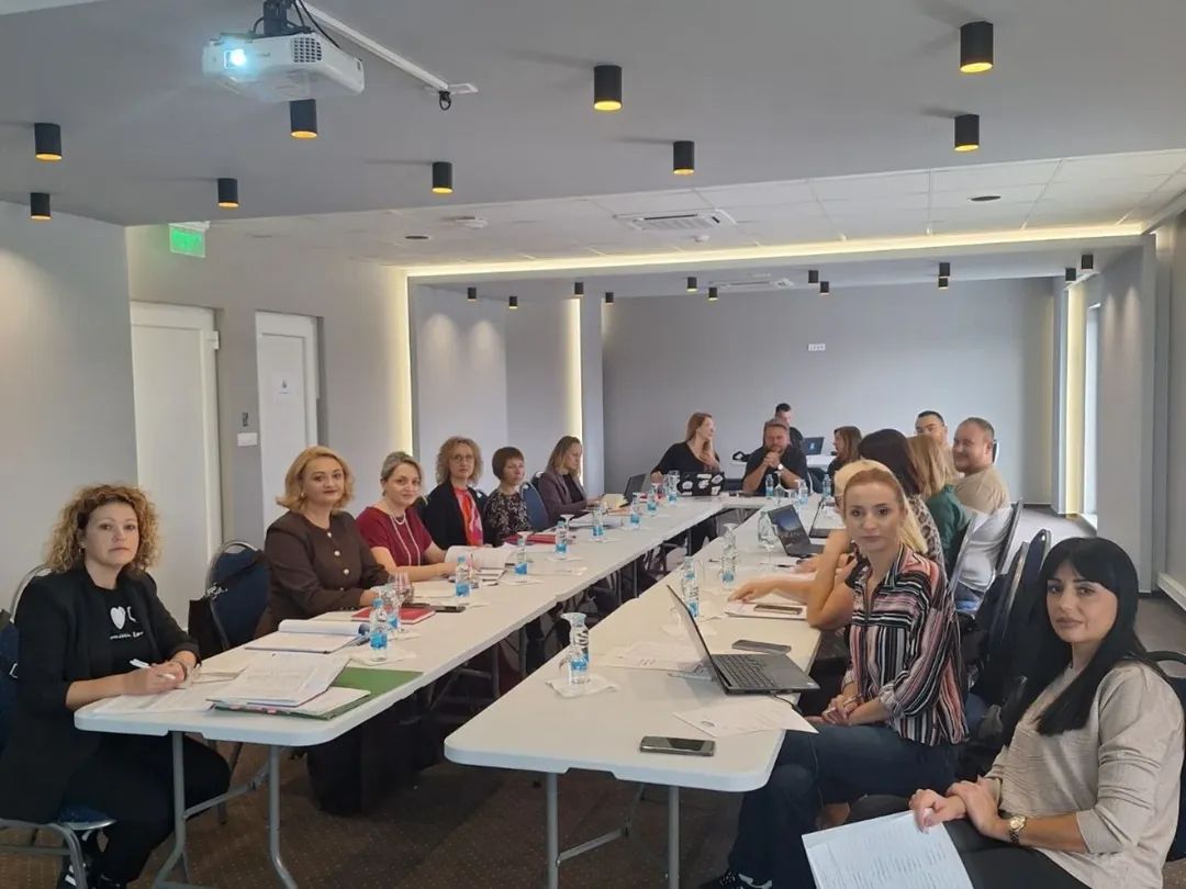 Радна група за израду Стратегије за сузбијање насиља у породици у Републици Српској за период 2026–2032. године 